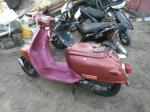 Начало истории. Honda Giorno.