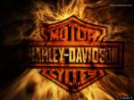 Программа празднования сто десятого юбилея Harley Davidson 