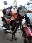 мотоцикл ЗиД - Сова - Сова 175