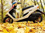 мотоцикл Honda - Dio - *Made in Japan*