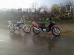 мотоцикл Yinxiang - YX 50 - Yinxiang 110cc